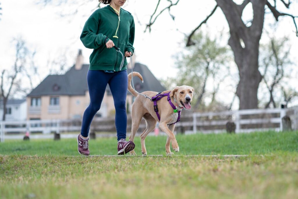 woman jogging with dog - the stress paradox