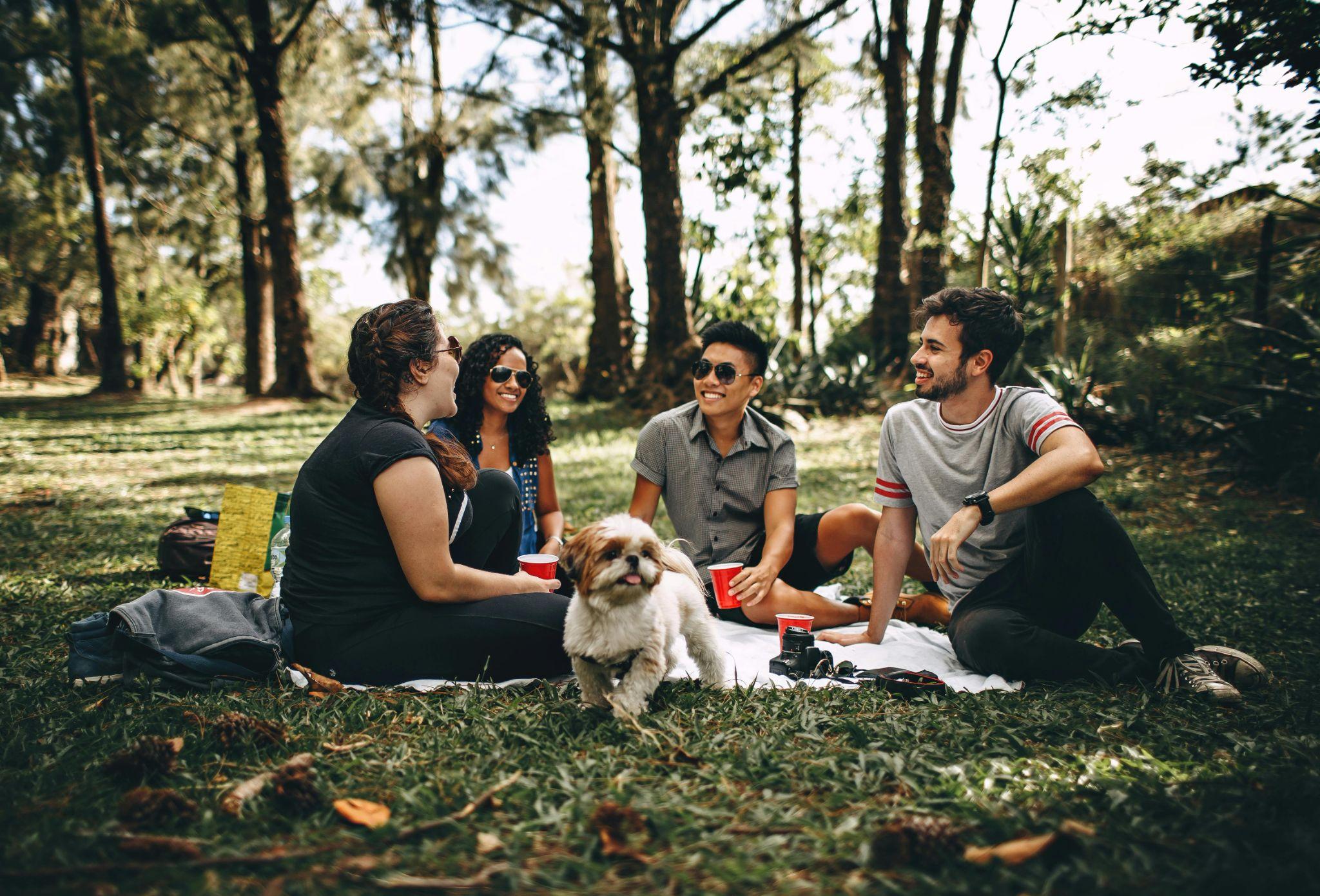 Friends socializing at a park, illustrating how direct primary care for stress relief supports healthier connections and overall well-being.